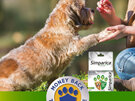 1pk Simparica Chew for Dogs 20 to 40kg treats fleas, ticks & mites