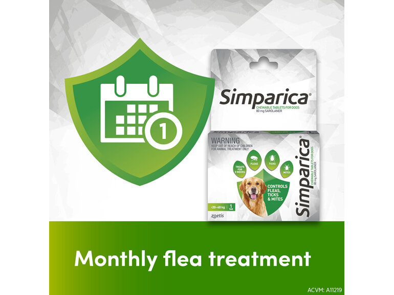 1pk Simparica Chew for Dogs 20 to 40kg treats fleas, ticks & mites