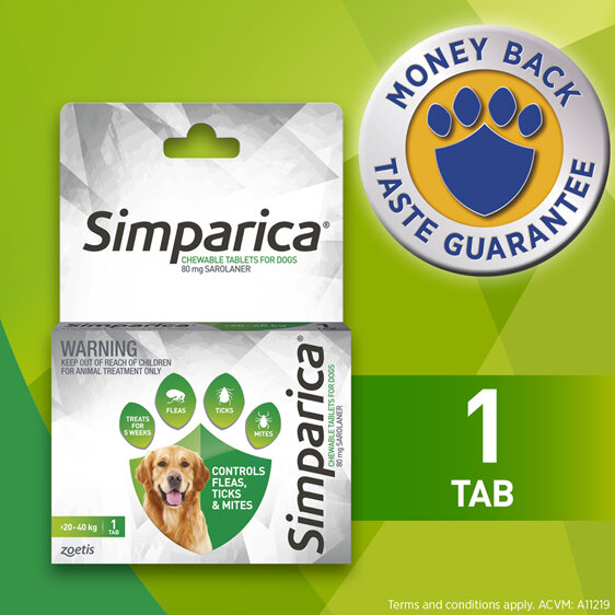 1pk Simparica Chew for Dogs 20 to 40kg treats fleas, ticks & mites