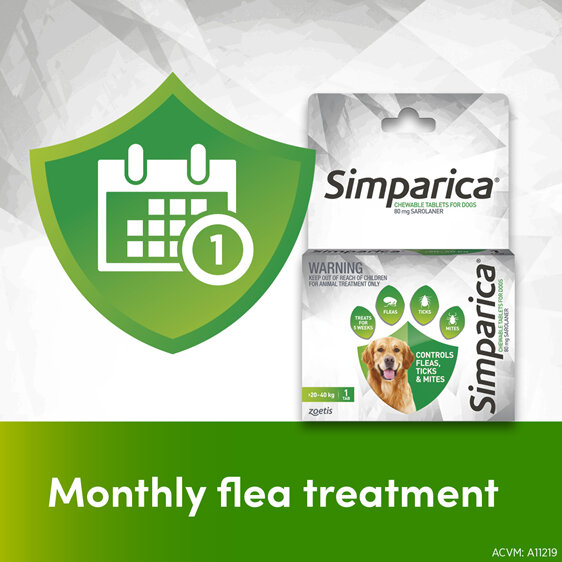 1pk Simparica Chew for Dogs 20 to 40kg treats fleas, ticks & mites