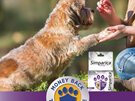 1pk Simparica Chew for Dogs 2.5 to 5.0kg treats fleas. ticks & mites