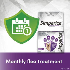 1pk Simparica Chew for Dogs 2.5 to 5.0kg treats fleas. ticks & mites