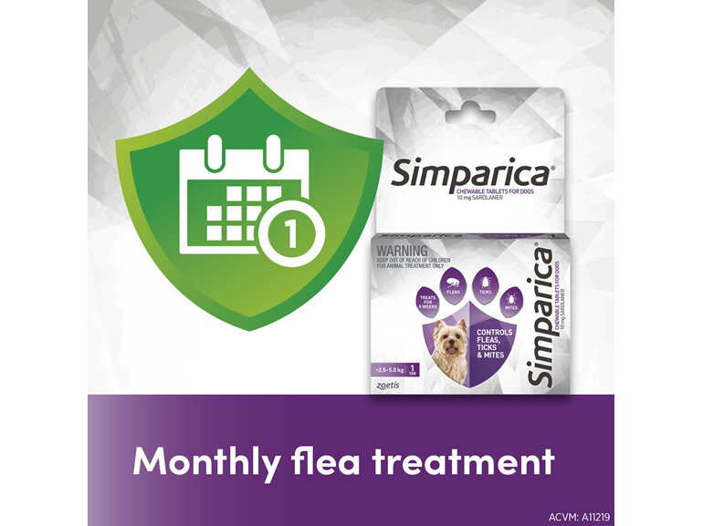 1pk Simparica Chew for Dogs 2.5 to 5.0kg treats fleas. ticks & mites