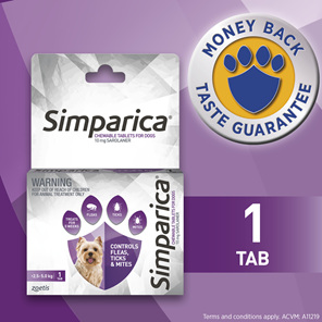 *1pk Simparica Chew for Dogs 2.5 to 5.0kg treats fleas. ticks & mites*