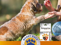1pk Simparica Chew for Dogs 5.0 to 10kg treats fleas, ticks & mites