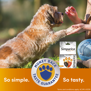 *1pk Simparica Chew for Dogs 5.0 to 10kg treats fleas, ticks & mites*