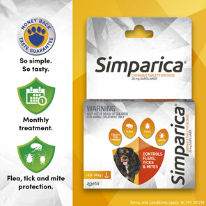 1pk Simparica Chew for Dogs 5.0 to 10kg treats fleas, ticks & mites