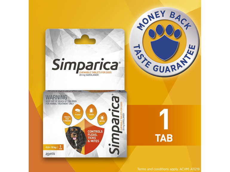 1pk Simparica Chew for Dogs 5.0 to 10kg treats fleas, ticks & mites