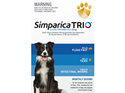 1pk Simparica Trio Medium 10.1kg-20kg