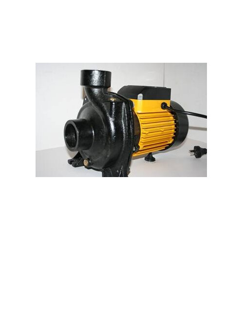 2 hp transfer pump