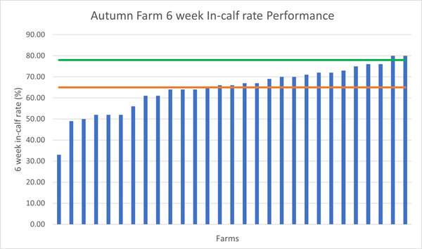 2023 Autumn herd 6 week in calf rate performance