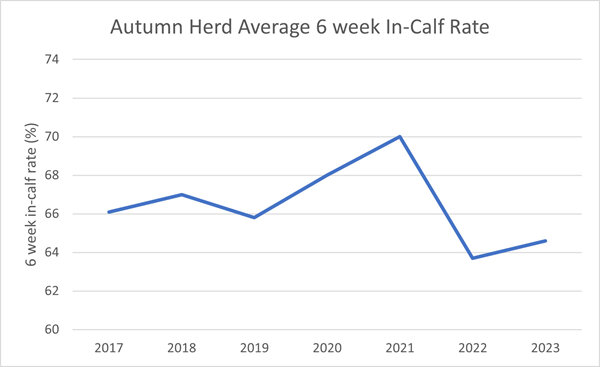 2023 Autumn herd average 6 week in calf rate