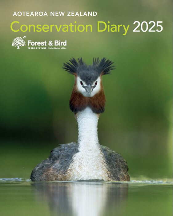 2025 Conservation diary