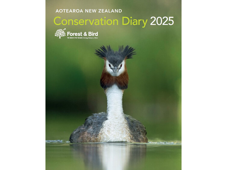 2025 Conservation diary