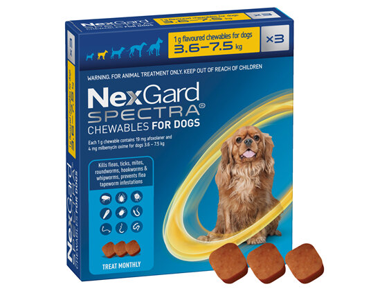 3pk NEXGARD SPECTRA chew for dogs 3.6-7.5 kg