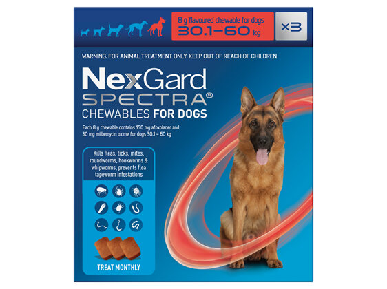 3pk NEXGARD SPECTRA chew for dogs 30.1-60 kg