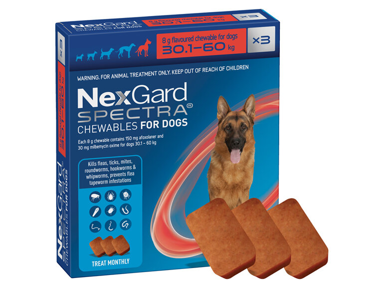 3pk NEXGARD SPECTRA chew for dogs 30.1-60 kg