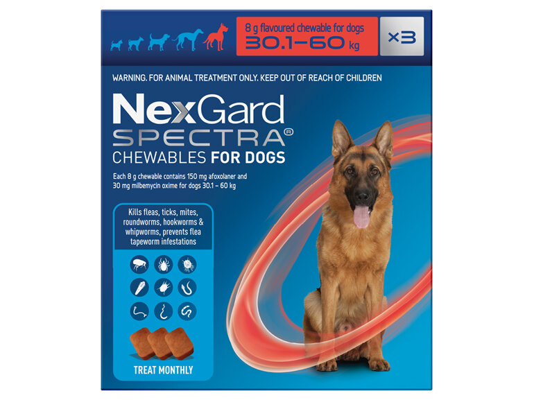 3pk NEXGARD SPECTRA chew for dogs 30.1-60 kg