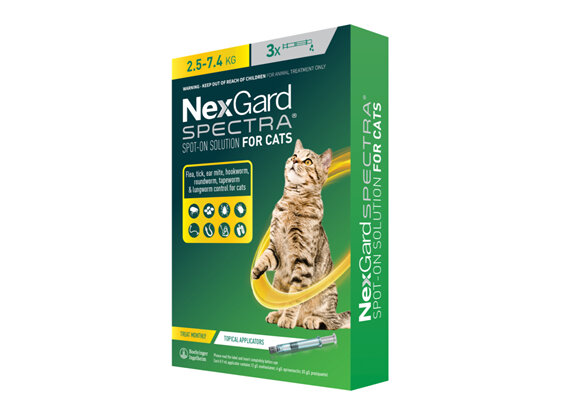 3pk NEXGARD SPECTRA Spot-on Solution for Cats 2.5 - 7.4 kg