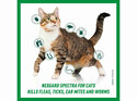 3pk NEXGARD SPECTRA Spot-on Solution for Small Cats & Kittens 0.8-2.4 kg