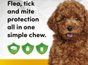 3pk Simparica chew for Dogs 1.3 to 2.5kg treats fleas, ticks & mites