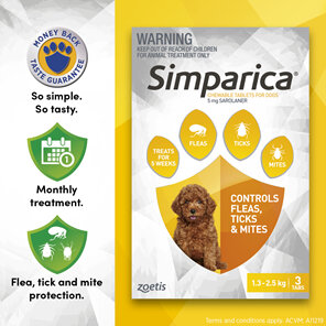 3pk Simparica chew for Dogs 1.3 to 2.5kg treats fleas, ticks & mites