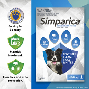 *3pk Simparica chew for Dogs 10 to 20kg fleas, ticks & mites*