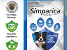 3pk Simparica chew for Dogs 10 to 20kg fleas, ticks & mites