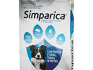 3pk Simparica chew for Dogs 10 to 20kg fleas, ticks & mites