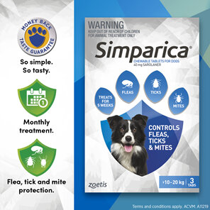 3pk Simparica chew for Dogs 10 to 20kg fleas, ticks & mites