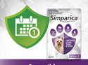 3pk Simparica chew for Dogs 2.5 to 5.0kg treats fleas, ticks & mites