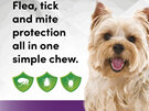 3pk Simparica chew for Dogs 2.5 to 5.0kg treats fleas, ticks & mites