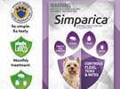 3pk Simparica chew for Dogs 2.5 to 5.0kg treats fleas, ticks & mites