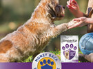 3pk Simparica chew for Dogs 2.5 to 5.0kg treats fleas, ticks & mites