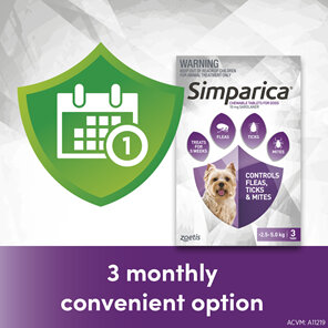 3pk Simparica chew for Dogs 2.5 to 5.0kg treats fleas, ticks & mites