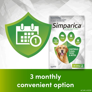 *3pk Simparica chew for Dogs 20 to 40kg treats fleas, ticks & mites*