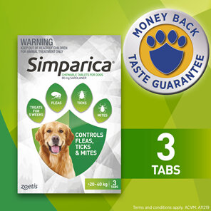 3pk Simparica chew for Dogs 20 to 40kg treats fleas, ticks & mites