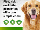 3pk Simparica chew for Dogs 20 to 40kg treats fleas, ticks & mites