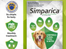 3pk Simparica chew for Dogs 20 to 40kg treats fleas, ticks & mites