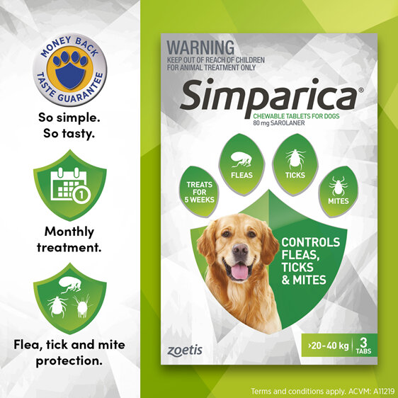 3pk Simparica chew for Dogs 20 to 40kg treats fleas, ticks & mites