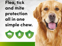 3pk Simparica chew for Dogs 20 to 40kg treats fleas, ticks & mites