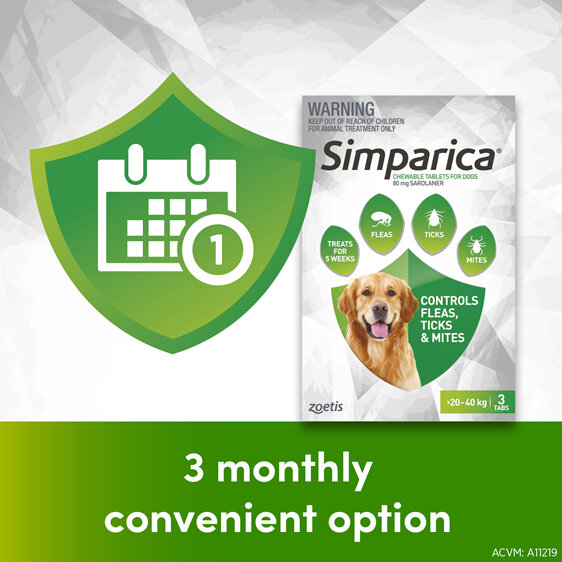 3pk Simparica chew for Dogs 20 to 40kg treats fleas, ticks & mites