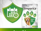 3pk Simparica chew for Dogs 20 to 40kg treats fleas, ticks & mites