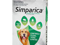 3pk Simparica chew for Dogs 20 to 40kg treats fleas, ticks & mites