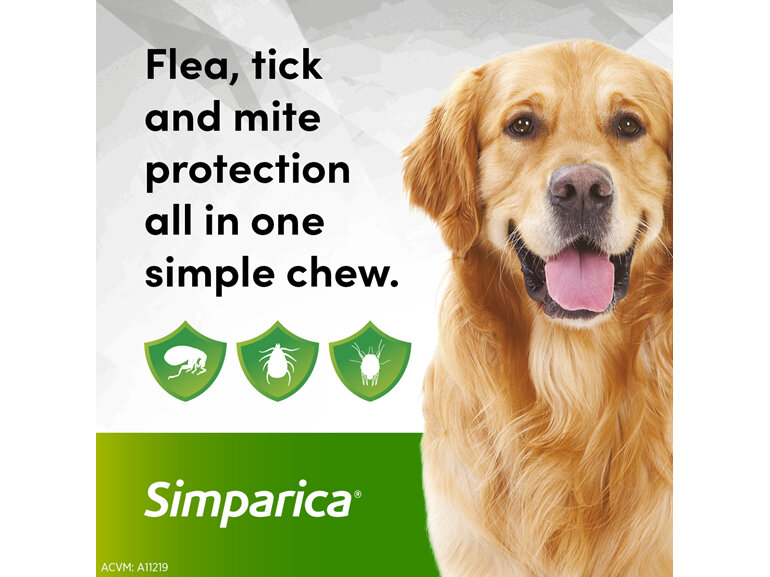 3pk Simparica chew for Dogs 20 to 40kg treats fleas, ticks & mites