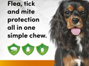 3pk Simparica chew for Dogs 5.0 to 10kg treats fleas, ticks and mites