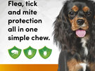 3pk Simparica chew for Dogs 5.0 to 10kg treats fleas, ticks and mites