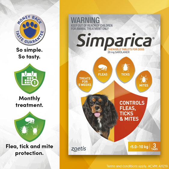 3pk Simparica chew for Dogs 5.0 to 10kg treats fleas, ticks and mites