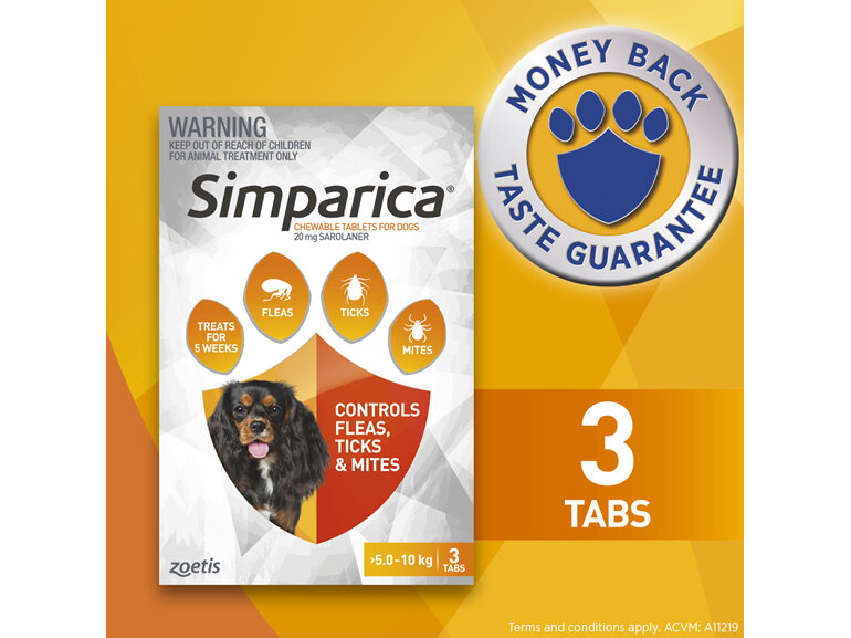 3pk Simparica chew for Dogs 5.0 to 10kg treats fleas, ticks and mites