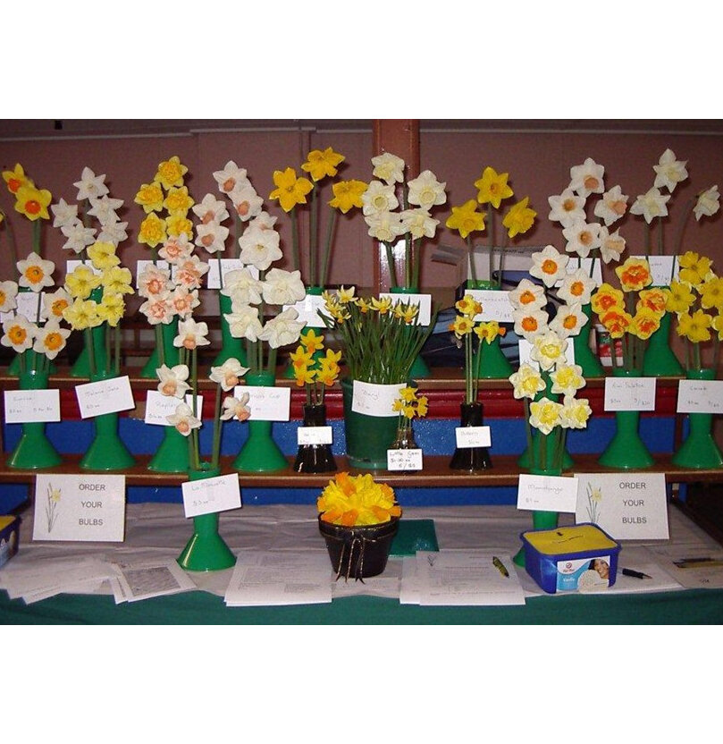 Mercervale Daffodils Trade Stand